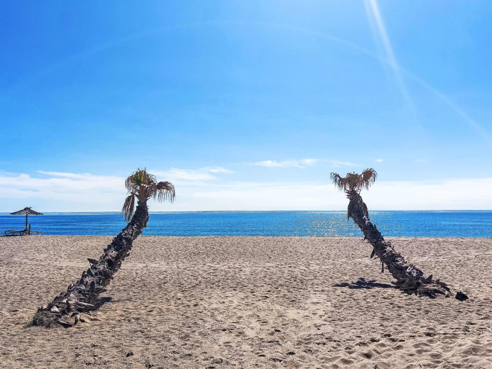 Apartment Estany By Interhome Le Barcarès エクステリア 写真
